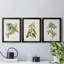 Pl. Ensemble de 39 reproductions d'art sur toile encadrées-1422530599-1422530595