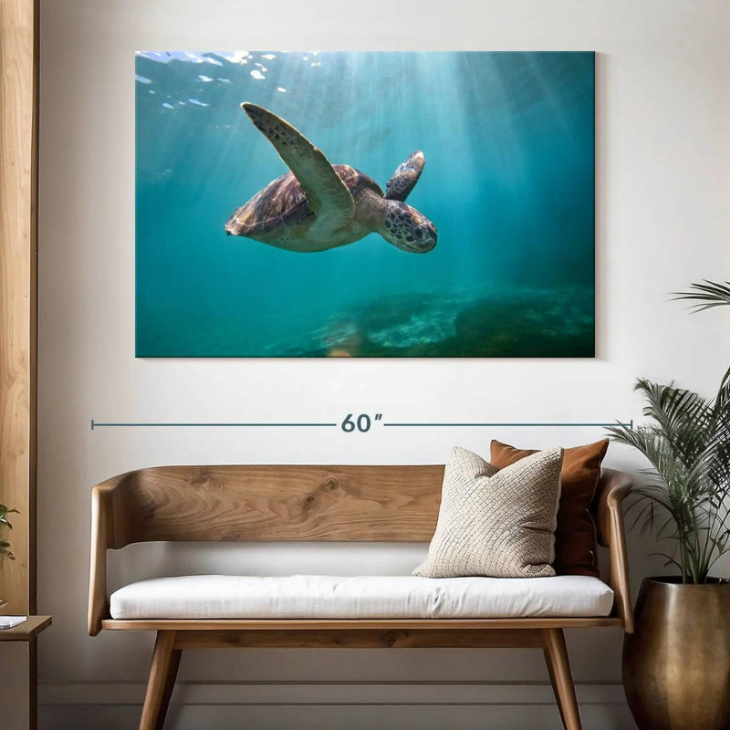Tortue de mer Brampt Martinique, H 34 po x l 51 po