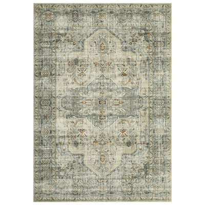 Living Room Rug 8x10 Washable Area Rugs for Bedroom Non Slip Low Pile Stain Resistant Rug Foldable Distressed Rug for Nursery Dining Room