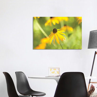 Susan Study I 1 Piece Wrapped Canvas Wall Art