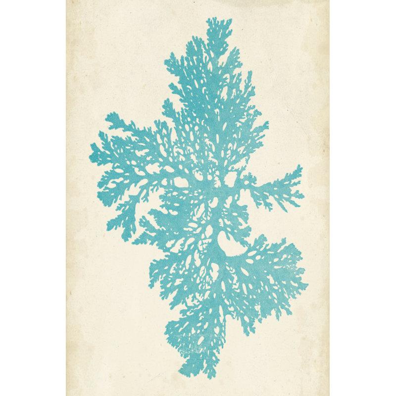 Aquamarine Seaweed II by Vision Studio - Painting, 122 cm H x 81 cm W, Wrapped Canvas
