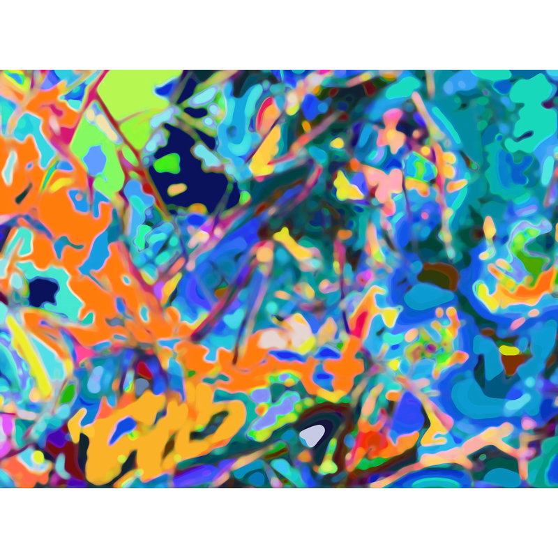 Curious Alliance par Drew Gaffney - impression, H 25,25 po x l 31,25 po, Papier avec cadre noir