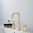 Widespread Bathroom Faucet with Drain Assembly-100863769