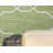 Outdoor Preen Area Rug Fern Color-534000558