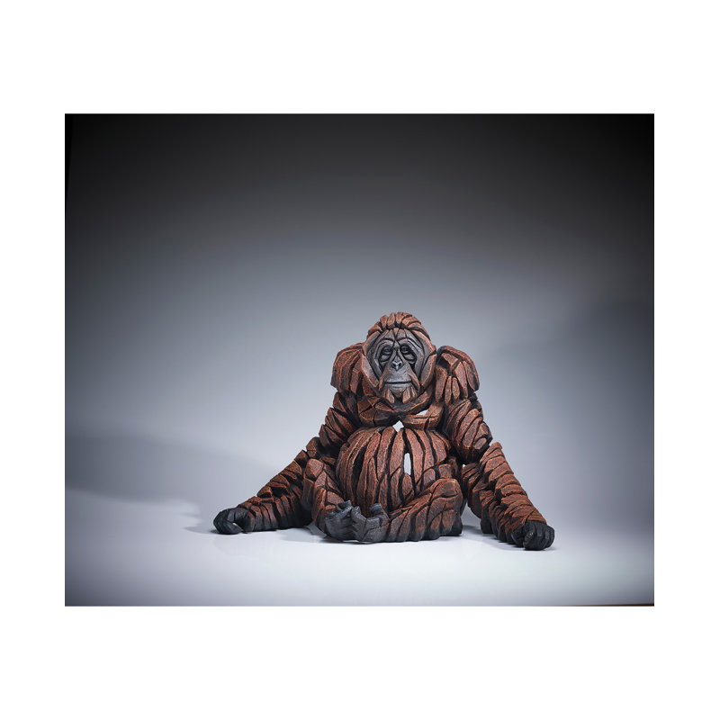 Orang-outan adulte 14 po