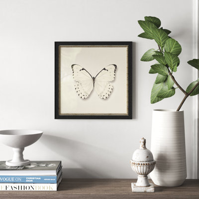 " Butterfly II BW "