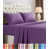 Aubergine est en rupture de stock