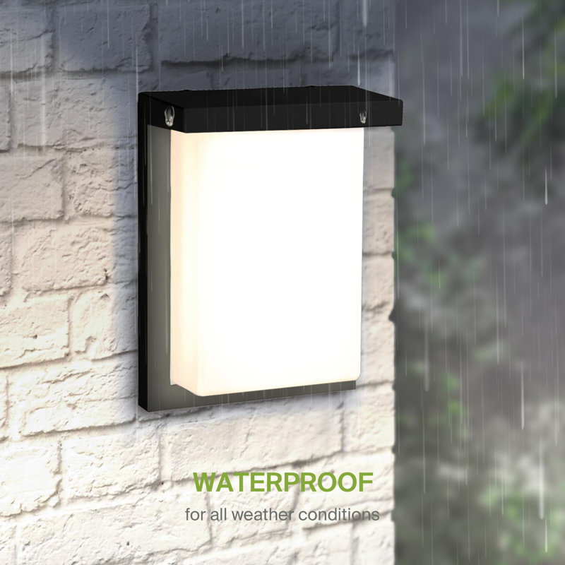 8 Inch Flush Mount Wall Light Fixture