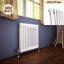 Zoie Horizontal Traditional Colosseum Radiator-165235300