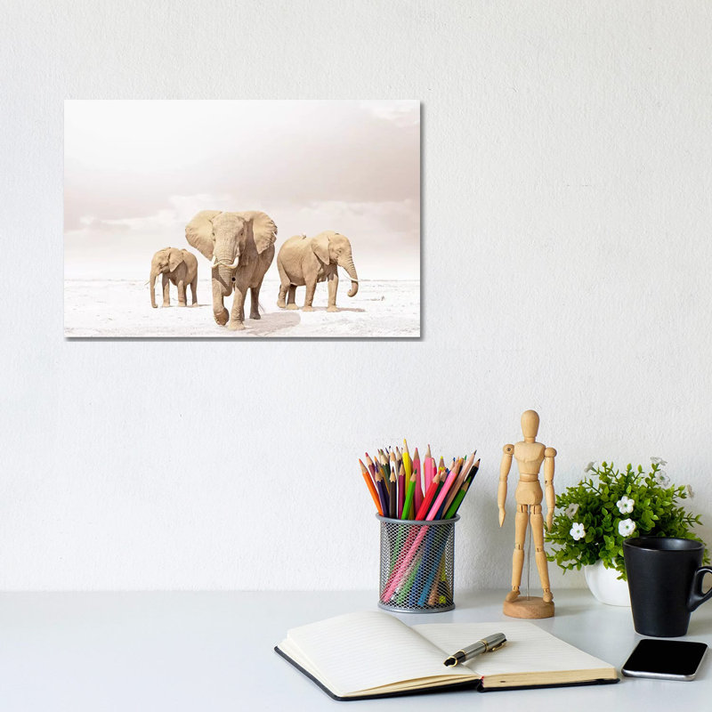 White Three Elephants by Klaus Tiedge - Wrapped Canvas Print, 20.32 cm H x 30.48 cm W