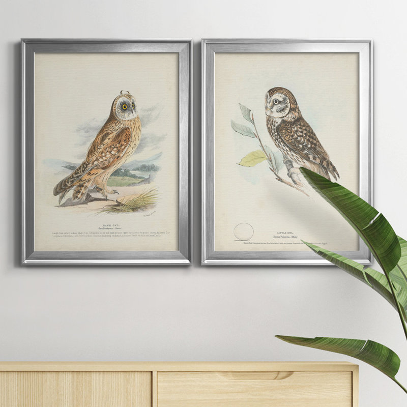 Hawk Owl - ensemble de 2 peintures sur toile encadrées, Argent, H 24,5 po x l 18,5 po x P 1 po