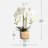 Faux Silk Orchid Arrangement In Pot