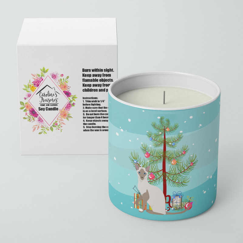 Pine / Christmas Tree Scented Jar Candle with Ceramic Holder