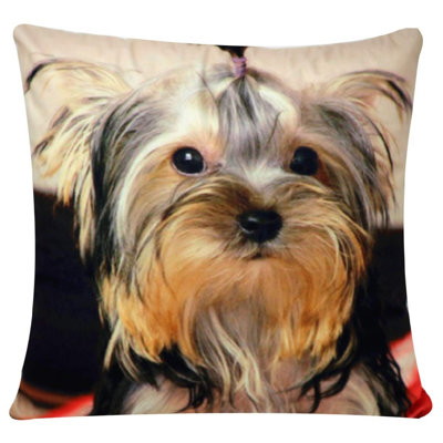 Geosvani Square Euro Cushion