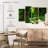 Alvord Enchanting Deep Rainforest-108899727