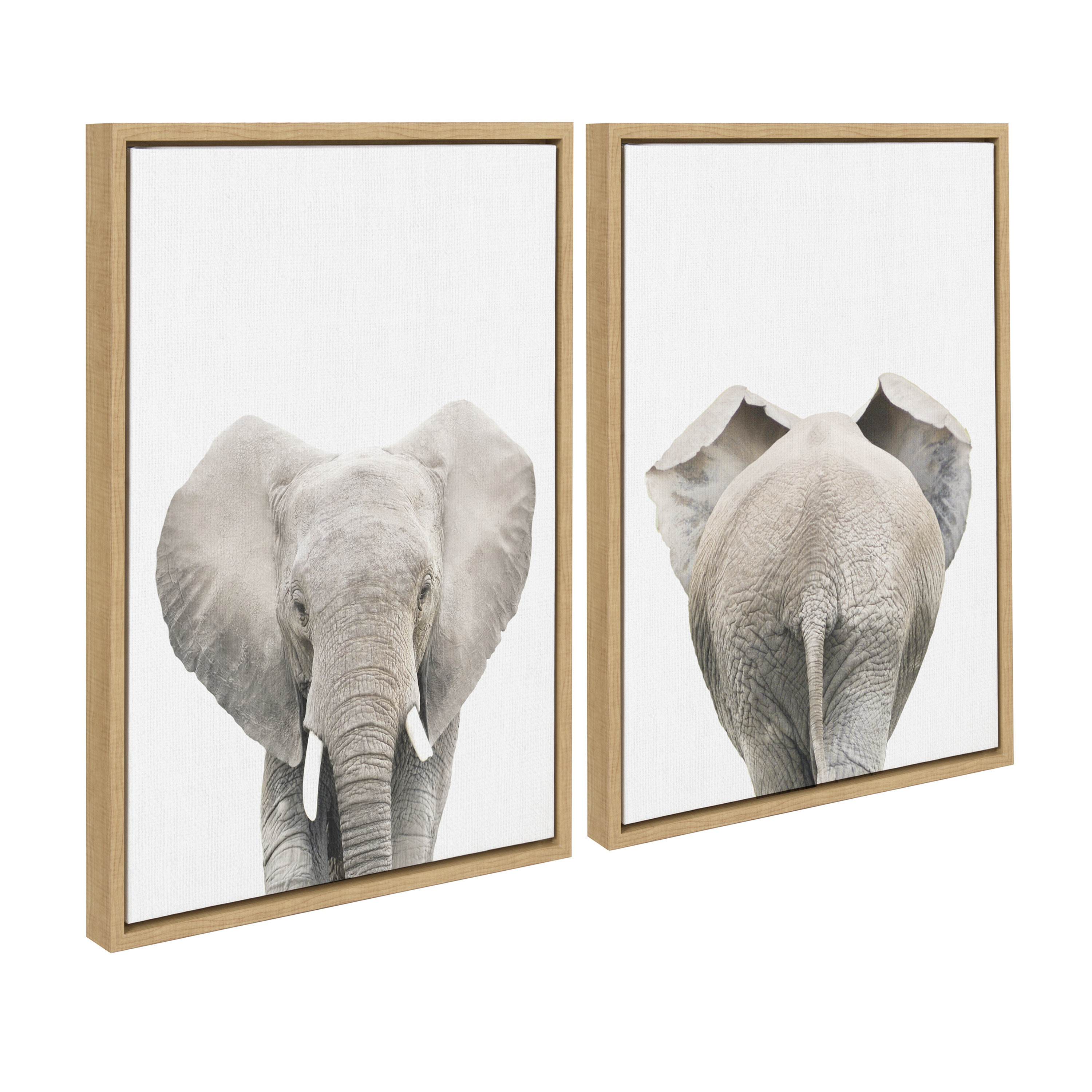 Trinx Elephant Front and Back by Amy Peterson Framed Canvas Wall Art ...