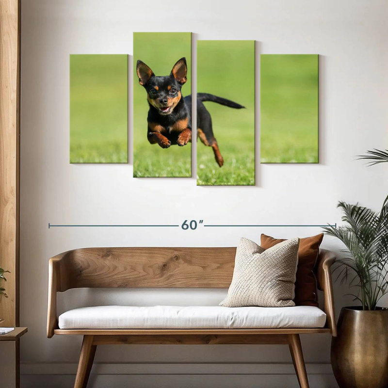 Brampt Sprinting Chihuahua, 32" H x 52" W