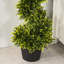 90cm Faux Cedar Tree in Cement Pot
