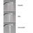 Raindance Handheld Shower Head-17271277