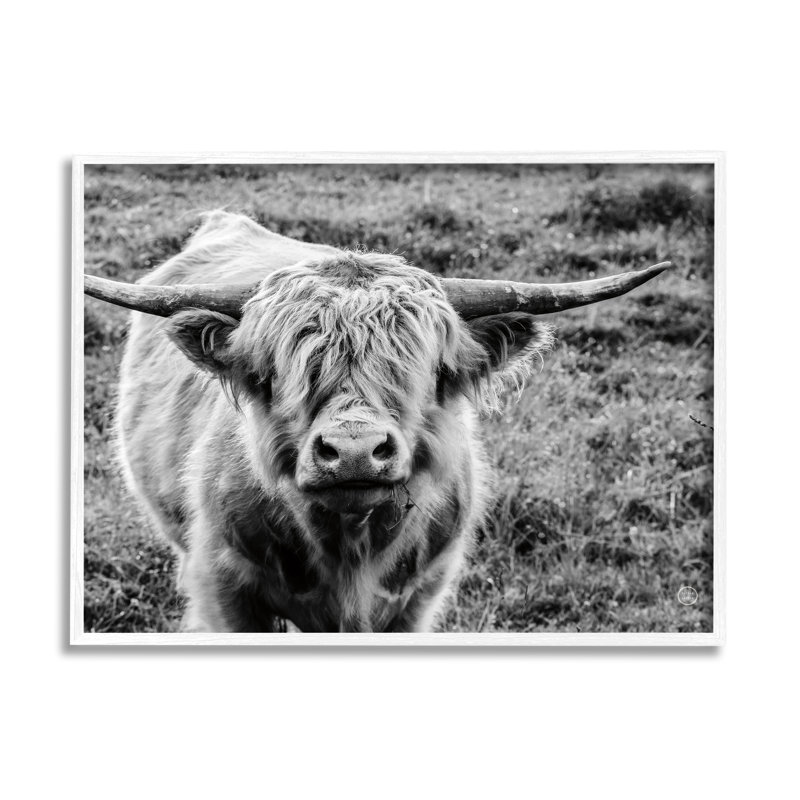 Portrait de bovins de campagne sauvage, photographie en noir et blanc surdimensionnée, estampe numérique, art texturé par Nathan Larson