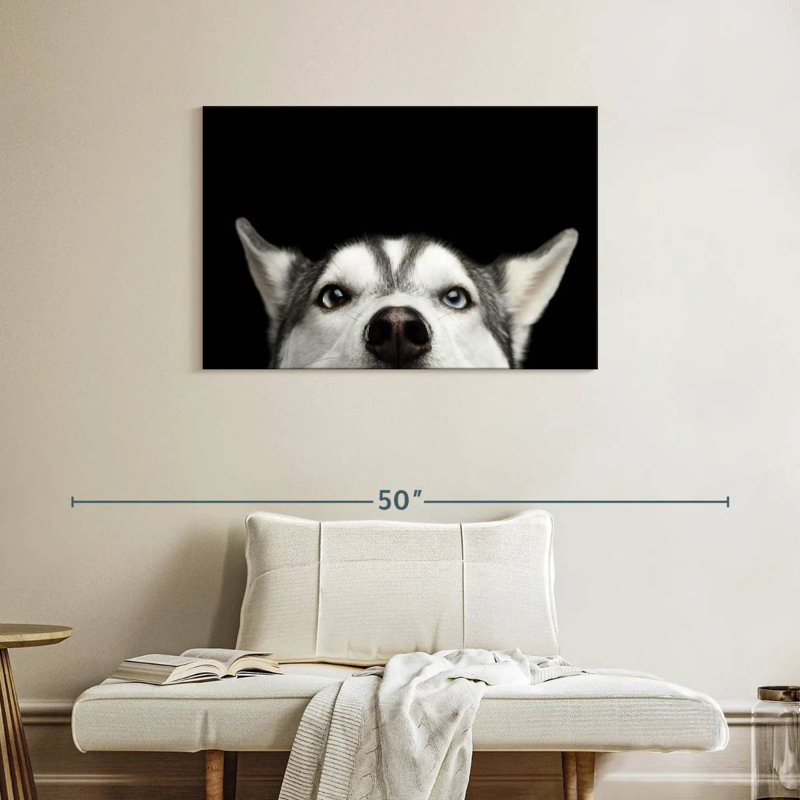Peeking Siberian Husky, 24" H x 36" W