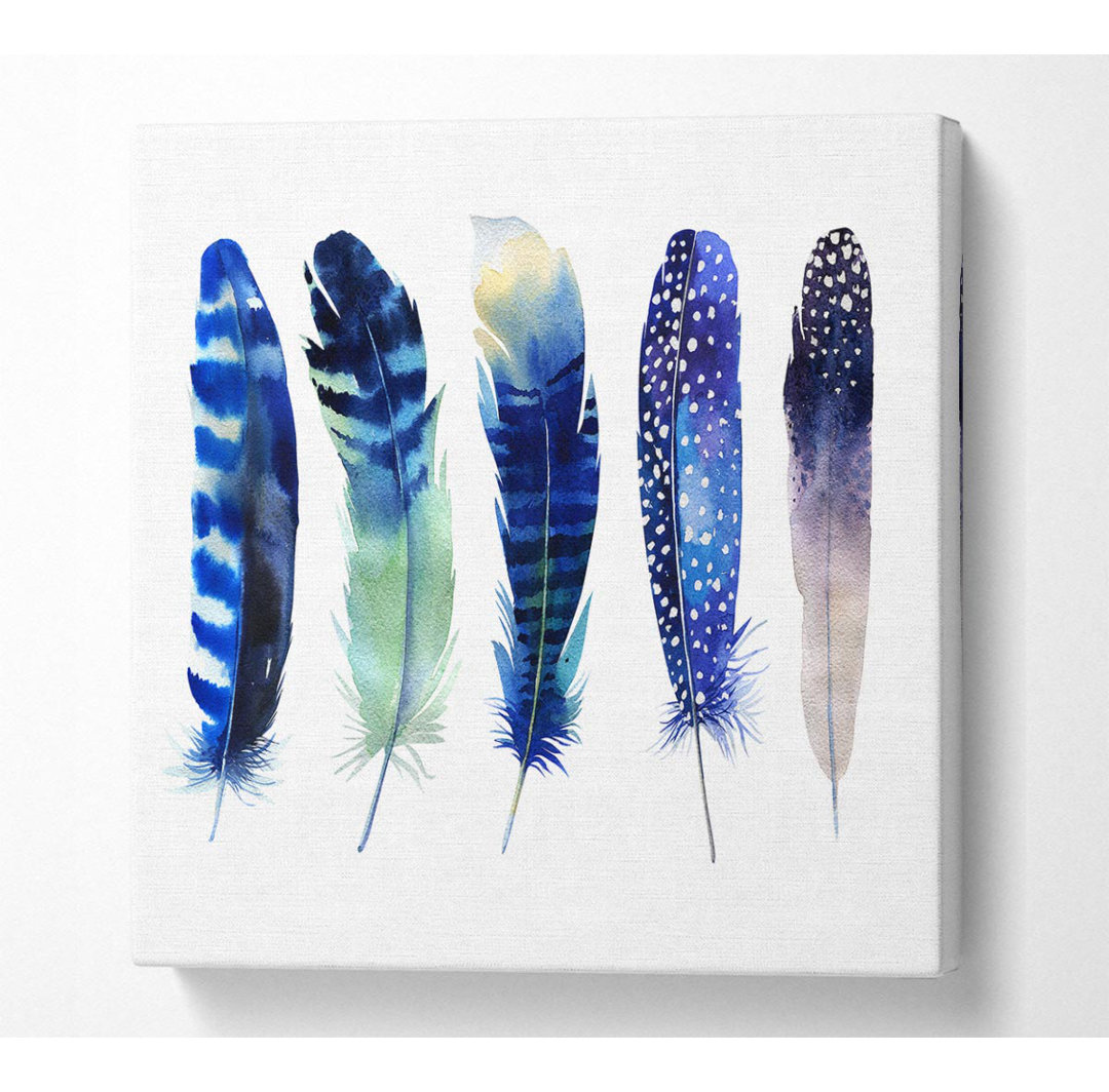 Calianna Night Feathers - Kunstdrucke auf Leinwand