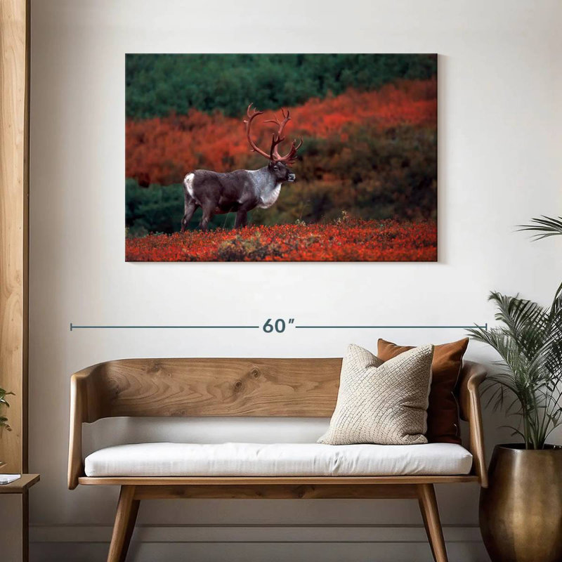Caribou d'automne Brampt, H 30 po x l 45 po