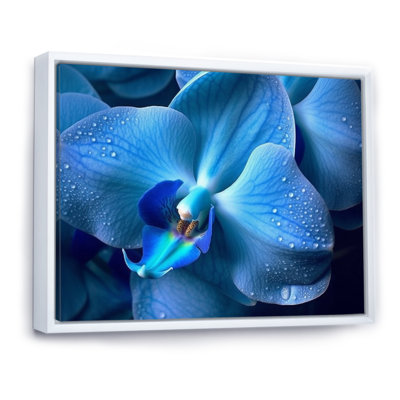Orchidées exotiques bleues - art mural floral