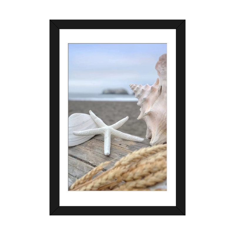 «Crescent Beach Shells» par Alan Blaustein - reproduction, H 32 po x l 24 po x P 1 po, Papier d'art encadré noir