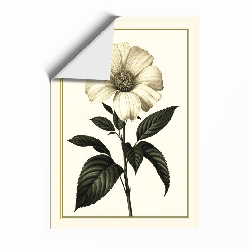 Classical Study Botanical - Framed Print, Unframed, A4 - 29.7 x 21.0 cm