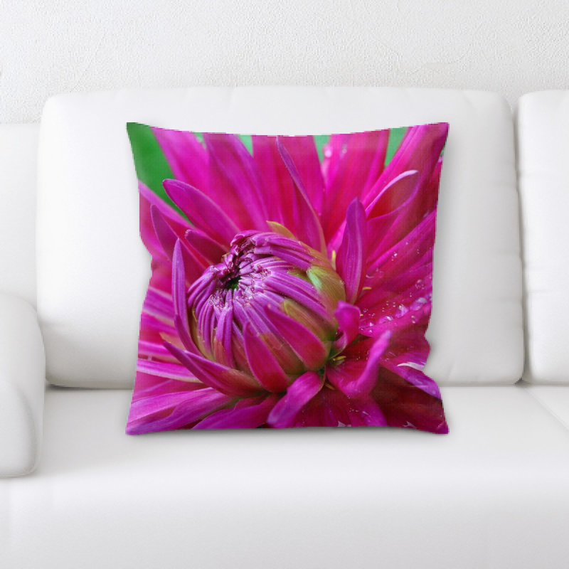 Coussin dahlia, Dahlia 2