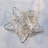 Battery Operated String Lights with 20 Silver Stars