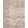 Cantey Oriental Indoor Rug