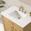Reajean 36" Single Vanity-1062019857