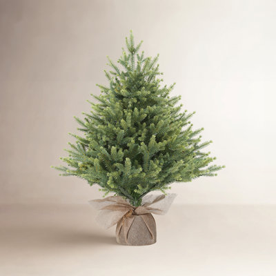  Mini arbre de Noël 2 pi pré-éclairé, arbre de table artificiel en PE avec lumières à brancher blanc chaud, embouts de branches réalistes pour la décoration de bureau à domicile, vert