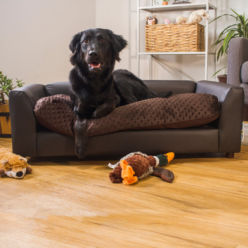 Canapé pour chien Ozzie, Grand (l 40 po x P 23 po x H 13 po), Chocolat