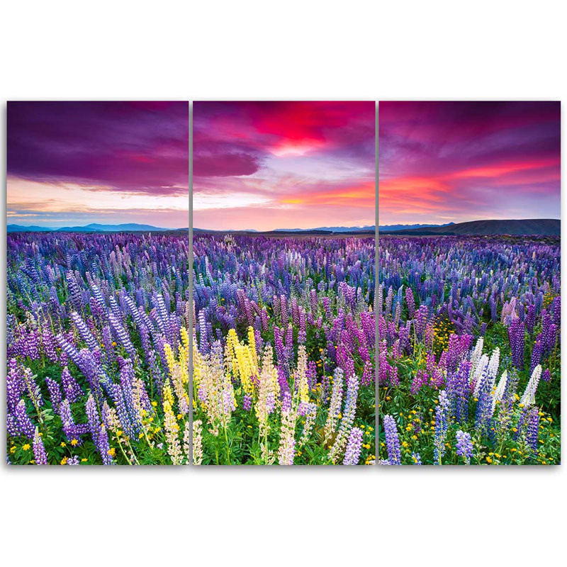 Lavender Field - 3 Piece No Frame Print on Canvas, 80cm H x 120cm W