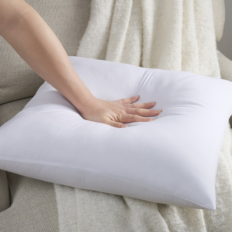 White Polyester 22" x 22" Pillow Inserts, 2-Pack