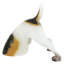 Animals Figurines & Sculptures