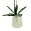 Phalaenopsis Orchid Floral Arrangement in Pot-1204512989