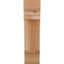 Corbeau Pescadero-1571285265-1571285246-1571285244