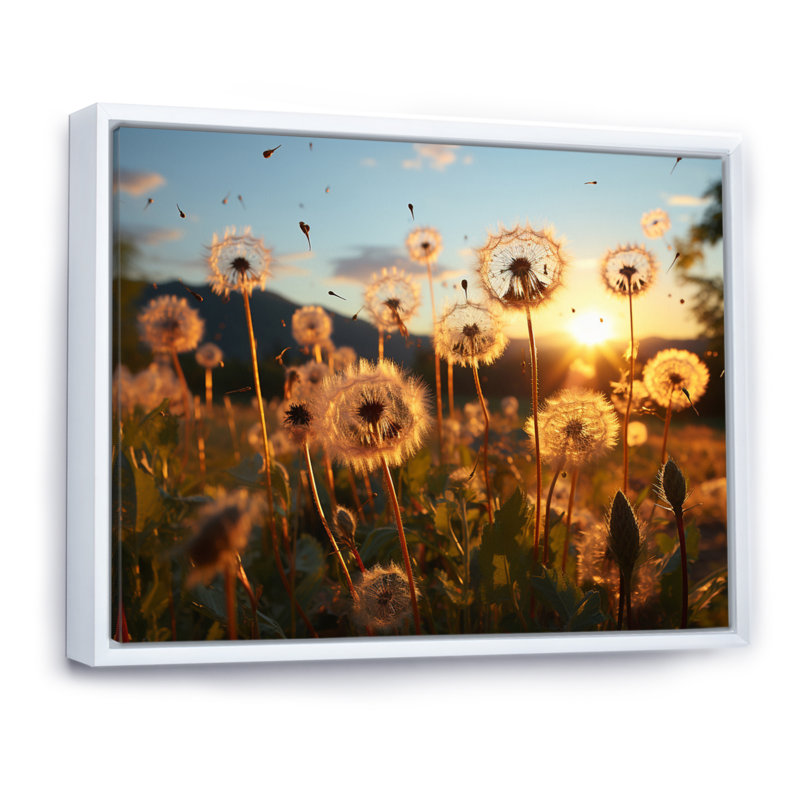 Mountain Dandelion Field III - Floral Canvas Art Print, Cadre flottant blanc, H 16 po x l 32 po x P 1 po