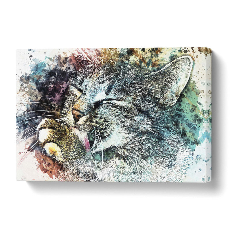 Cat Licking its Paw - Wrapped Canvas, 76.2 cm H x 50.8 cm W