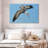 Crowle Pelican In The Air