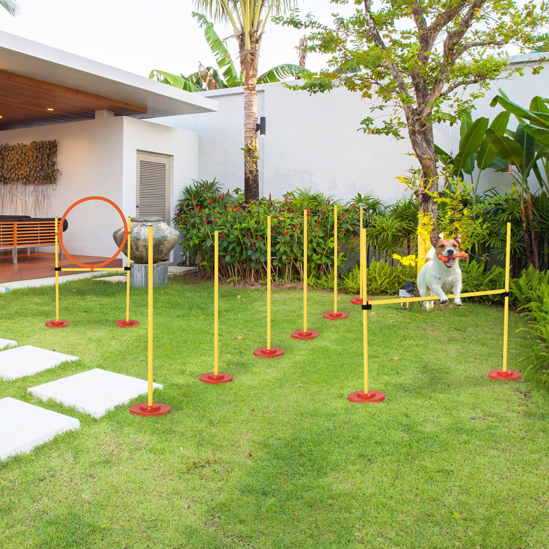 3 Piece Pet Agility Training Obstacle Set