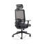 Ergo Twist Mesh Office Chair