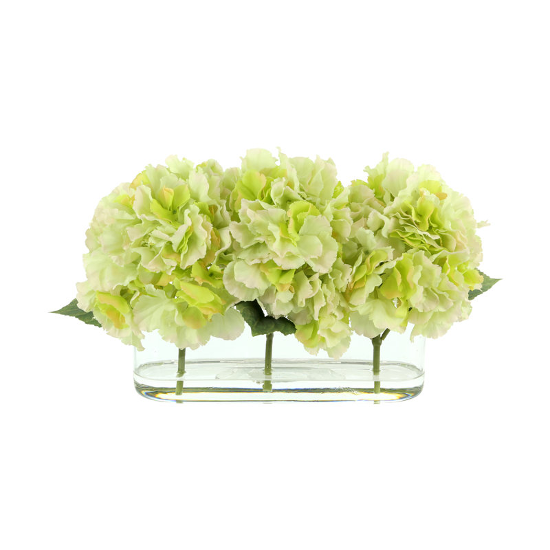 Hydrangeas Arranged in Clear Glass Vase, Green