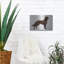 «Irish Setters» par Harro Maass-1914823148