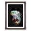 Fiji Iguana - Framed Print-56742631-56742634