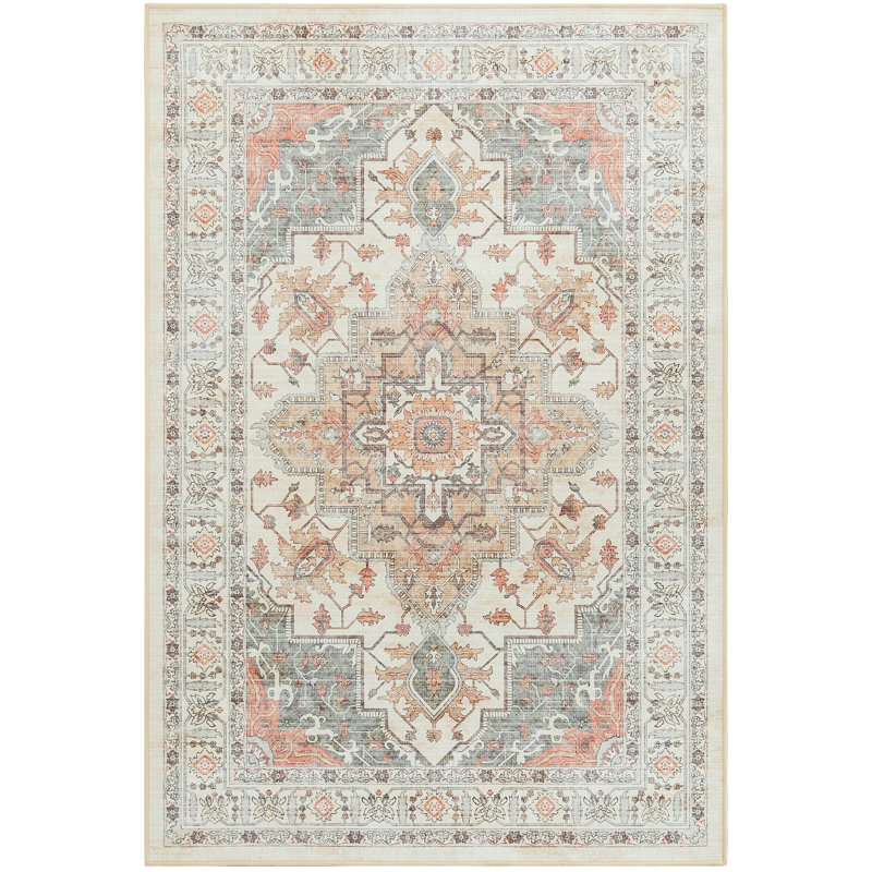  Tapis beige / brun lavable à la machine pour animaux de compagnie avec envers antidérapant, Rectangle 6 pi x 9 pi